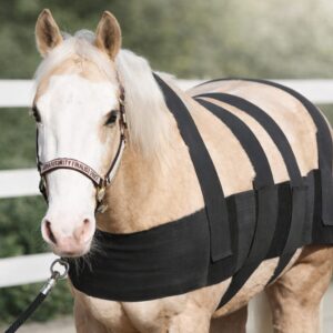 EquImpulse - Ganzheitliches Trainings- und Rehabilitationssystem für Pferde