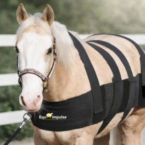 EquImpulse - Ganzheitliches Trainings- und Rehabilitationssystem für Pferde