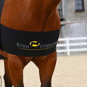 Equimpulse - Tensegrity Training and Rehabilitation System
