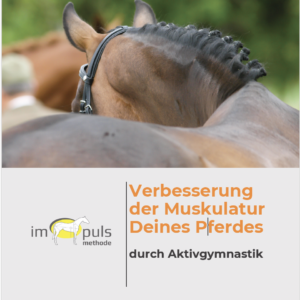 Verbesserung der Muskulatur Deines Pferdes durch Aktivgymnastik