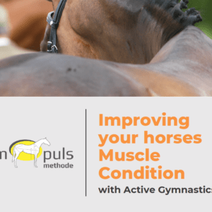 Improving Your Horses Muscle Condition with Active Gymnastics